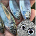 3d Göz - 6 Mm - Jig Rapala Kaşık Silikonlar Için Yapay Göz - 50 Adet