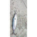S.F. Sardalya Jig 22g - Renk: 4 - Sahte Yem Kaşık Rapala -Levrek, Palamut, Lüfer, Çinekop, Turna İçin En İyi Glow Jig Yem