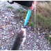 S.F. Sardin Jig 22g Renk: 15 - Sahte Yem Kaşık Rapala -Levrek, Palamut, Lüfer, Çinekop, Turna İçin En İyi UV Jig Yem