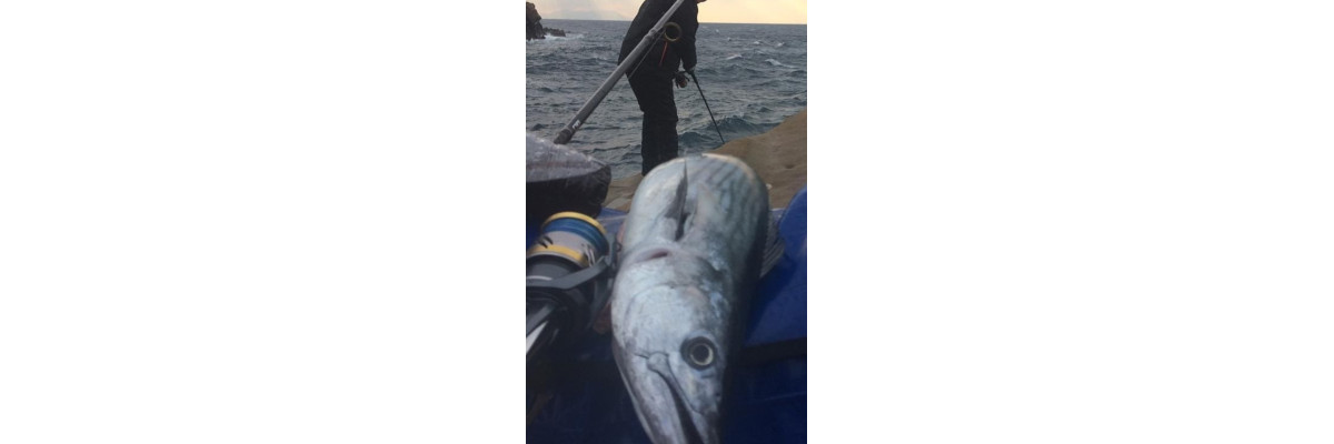 S.F. Sardin Jig
