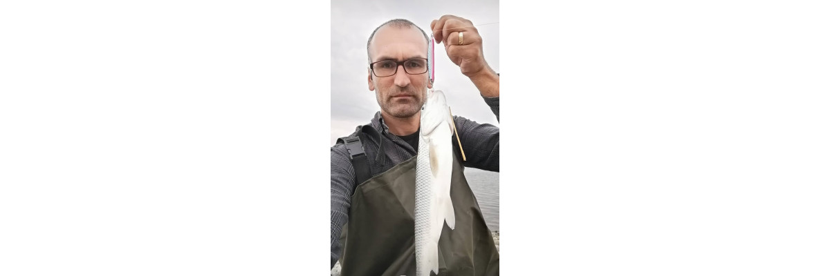 S.F. Sardin Jig