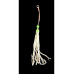 S.F. Tai Rubber Skirt Assist - 0/2 No İğne - Beyaz Glow