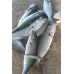 S.F. Sardin Jig 22g - Color: 1 - Fake Bait Spoon Rapala - Best Glow Jig Bait for Sea Bass, Bonito, Bluefish, Chinkop, Pike