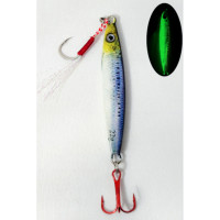 S.F Sardin Jig 29g - Spoon Fake Fish Lures - Best Jig Bait for Sea Bass Bonito Bluefish Pike - Glow Jig - Color: 2
